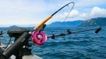 Deep sea fishing and ocean fishing are popular activities at Pacific Playgrounds Resort and Marina vacation rentals