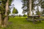 Pacific Playgrounds picnic site