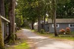 Pacific Playgrounds cottage lane