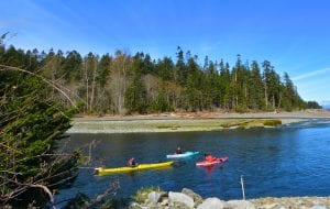 People paddling kayaks near Pacific Playgrounds