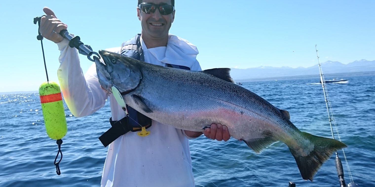 PP-huge-salmon