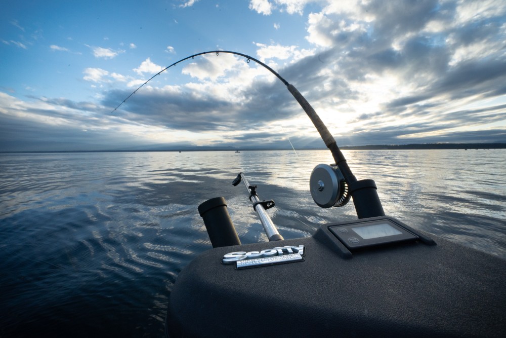 Fishing rod - trolling for salmon