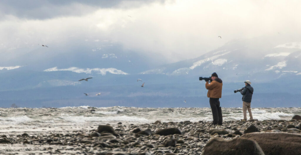 All the information you need to participate in our fall photo contest - rules, how to enter, eligibility, and prizes!