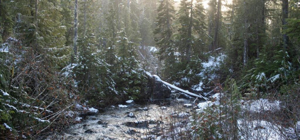 Start the year with a cozy winter getaway at Pacific Playgrounds Oceanside Resort. Enjoy mild Island days, warm cottages, RV comfort, beach walks, birding, and storm-watching.