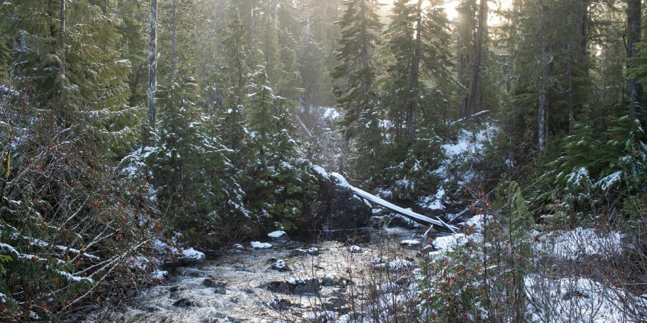 comox-winter-scene-2